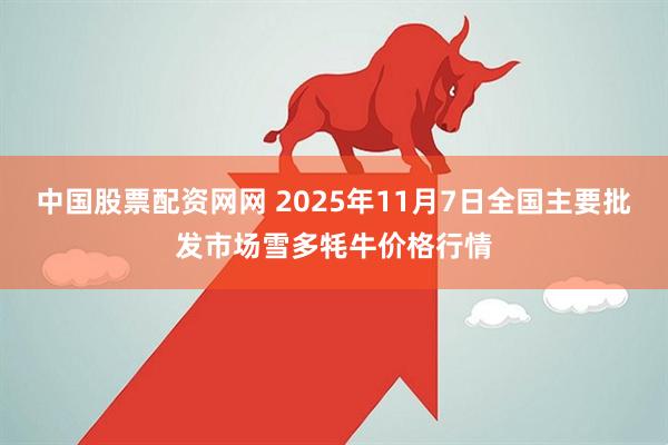 中国股票配资网网 2025年11月7日全国主要批发市场雪多牦牛价格行情