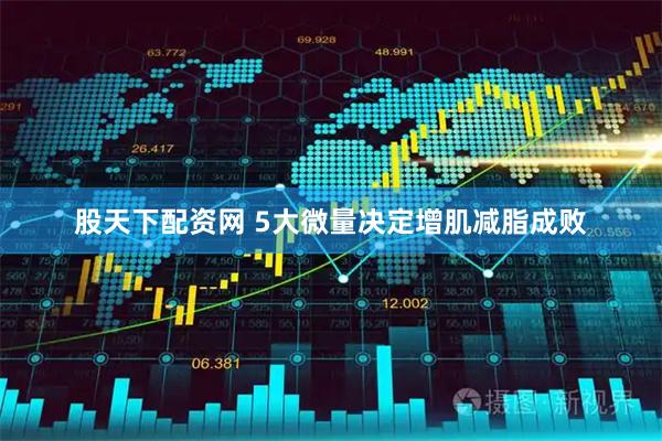 股天下配资网 5大微量决定增肌减脂成败