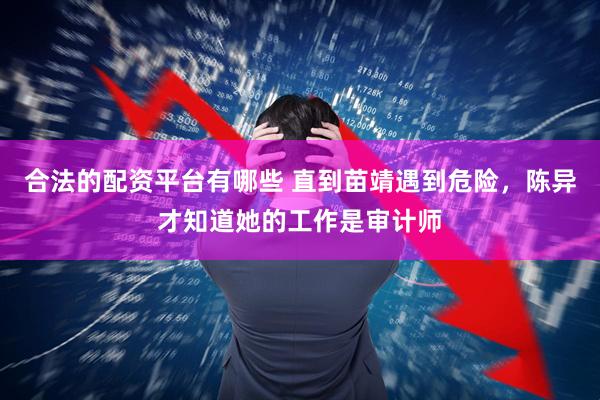 合法的配资平台有哪些 直到苗靖遇到危险,陈异才知道她的工作是审计师